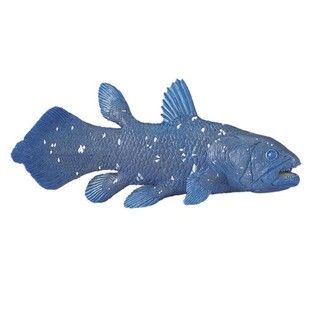 Safari Ltd. : SFR285729 โมเดลสัตว์ Coelacanth