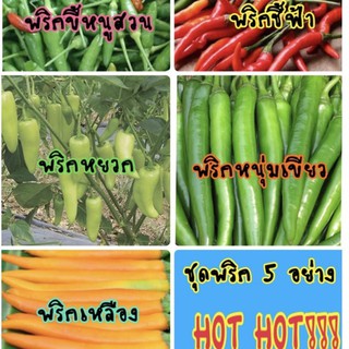 เมล็ดพันธุ์ พริก ชุดพริก (5 รายการ แถม 1) ไม่ต้องกดเลือกรายการให้ยุ่งยาก