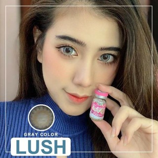 Lush Gray (1) สีเทา เทา ทรีโทน โทนแบ๊ว ตาโต ✨ Wink Lens ✨ Contact Lens Bigeyes คอนแทคเลนส์ ค่าสายตา สายตาสั้น แฟชั่น