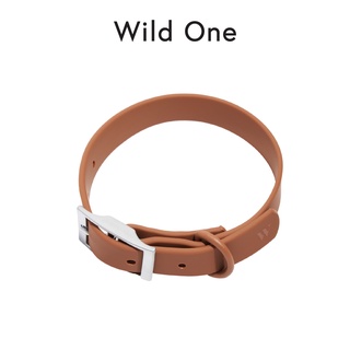 Wild One - Collar ปลอกคอสุนัข │ Cocoa✨(Limited)