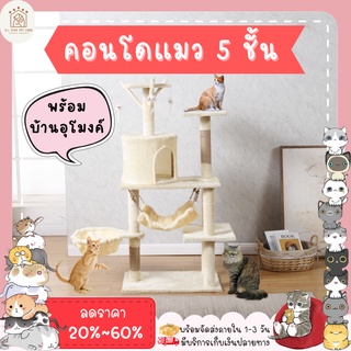 ♥ 𝗮𝗹𝗹𝘀𝘁𝗮𝗿 ♥ คอนโดแมว คอนโดแมวถูกๆ 5ชั้น เสาลับเล็บแมวได้ คอนโดกำมะหยี่อย่างดี ราคาถูก [พร้อมส่ง]