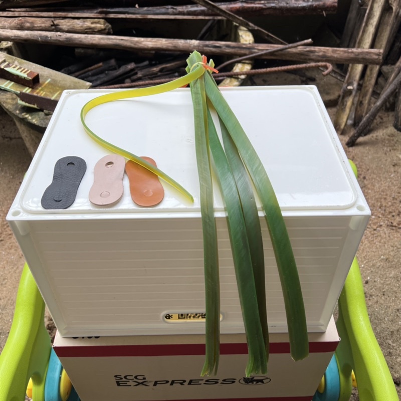 รูปภาพ 6