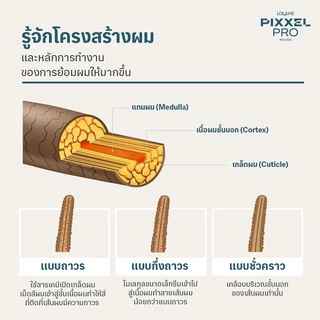 โลแลน พิกเซลโปร แฮร์ คัลเลอร์ เปอร์ออกไซด์ (ไฮโดรเจน) 1000 มล. Lolane Pixxel Pro Hair Color Peroxide 1000ml.
