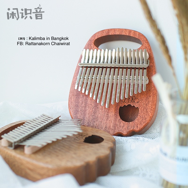 Kalimba 17 keys สไตล์มินิมอล⚪️ รูปอุ้งตีนหมี หรือต้น Bear’s Palm 🧸
