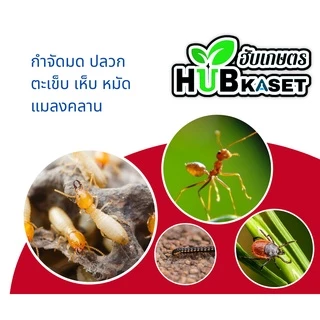 พาราดอน 500กรัม (ไซเปอร์เมทริน3%) ยากำจัดแมลง มด ปลวก แมลงคลาน กิ้งกือ ตะเข็บ ตะขาบ
