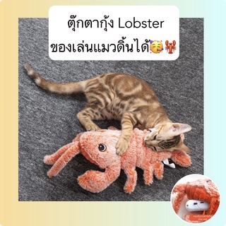 AL-359 ตุ๊กตากุ้ง Lobster ของเล่นแมวดิ้นได้ ช่วยดึงดูดความสนใจ ตุ๊กตาแมว ของเล่นแมวอัตโนมัติ ราคาถูก พร้อมส่ง🧡🍄