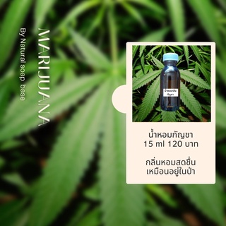 หัวน้ำหอมกลิ่น กัญชา ขนาด 15 ml.