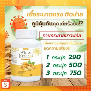 ส่งฟรี💥กระชายขาว White krachai กระชายขาวพลัส ผลิตภัณฑ์เสริมอาหาร กระชายขาวสกัด กระชายขาวแคปซูล กระชายสดสกัด มี อย.