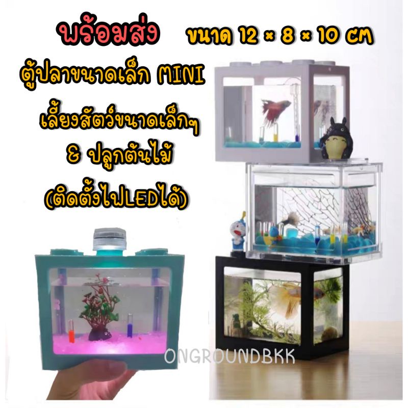 🐟พร้อมส่ง ตู้ปลาขนาดเล็ก ตู้เลี้ยงสัตว์ขนาดเล็ก ตู้marimo โหลปลากัด ตู้ปลากัดเลโก้ ตู้ปลาสำหรับปลาขน