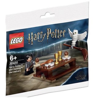 Hobbit99: LEGO 30420 Harry Potter and Hedwig: Owl delivery