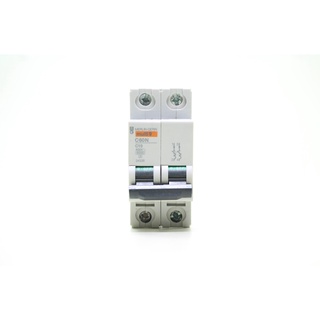 24336 C60N C10 MERLIN GERIN Schneider Electric MCB C60N C10 2P 10A เซอร์กิตเบรกเกอร์ Schneider Electric MERLIN GERIN