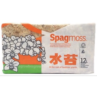 สแฟกนั่มมอส สแฟกนัมมอส Spagmoss  นิวซีแลนด์ NZ  12 L. (150 กรัม) Sphagnum Moss กล้วยไม้ วัสดุล่อราก ผสมดินปลูก