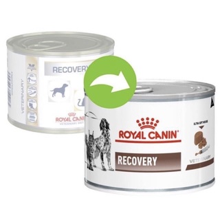 Royal Canin Recovery 12 กระป๋อง อาหารแมว อาหารหมา สูตรสุนัขและแมวระยะพักฟื้น/หลังผ่าตัด ย่อยง่ายให้พลังงานสูง