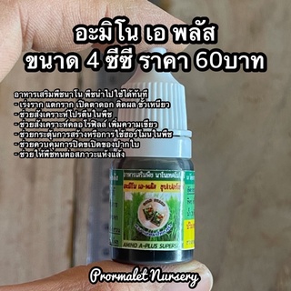 Amino A-Plus อะมิโน เอ-พลัส  อะมิโนชนิดน้ำ เร่งโต ใบเขียว ทนต่อสภาวะที่ไม่เหมาะสม