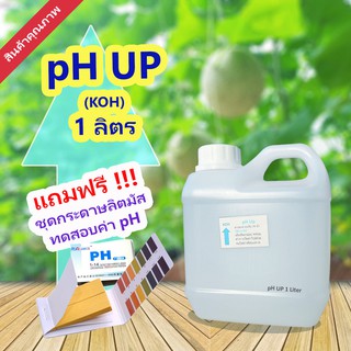 น้ำยาเพิ่มค่าพีเอช​ pH​ Up​ 1ลิตร (โพแทสเซียมไฮดรอกไซด์ KOH) แถมฟรีกระดาษลิตมัสวัดค่า pH 1เล่ม