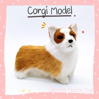 พร้อมส่งจากไทย 🇹🇭 คอร์กี้ Corgi ตุ๊กตาจำลอง หมา สุนัข เหมือนจริง โมเดล เกรดขนกระต่าย ตกแต่งบ้าน ตั้งโชว์ handmade