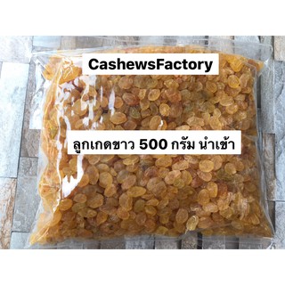 ลูกเกดขาว นำเข้า เกรดAAA+ (White Raisin)(ลูกเกดเหลือง)500g (พร้อมทาน)