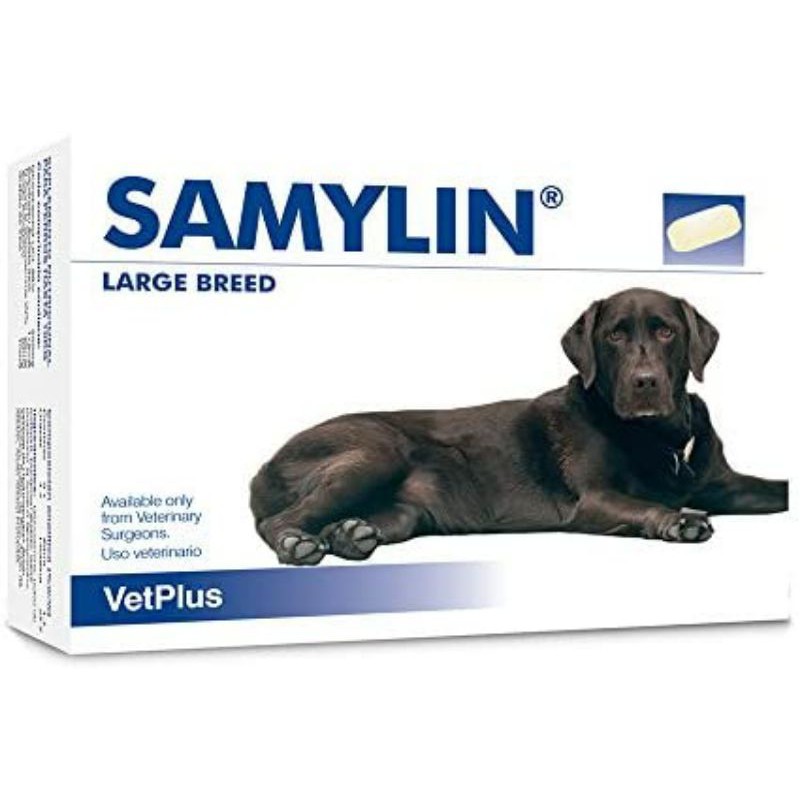 Samylin Large Breed ผลิตภัณฑ์บำรุงตับสำหรับสุนัข