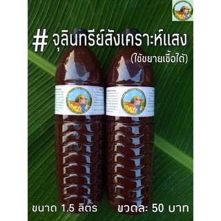 จุลินทรีย์สังเคราะห์แสง จำนวน 2 ขวด ราคา 99 บาท