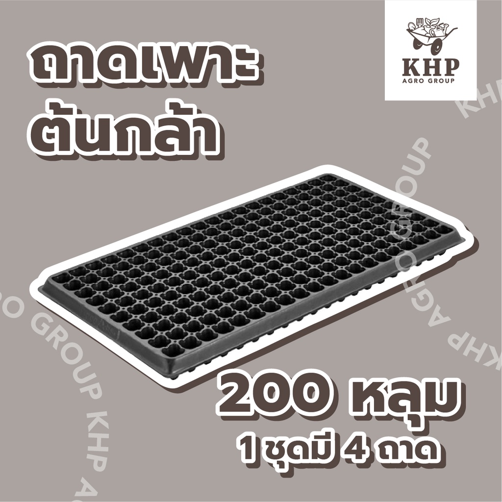 < 4 ชิ้น> ถาดเพาะกล้า 200 หลุม ถาดเพาะชำ มีขอบ แข็งแรง