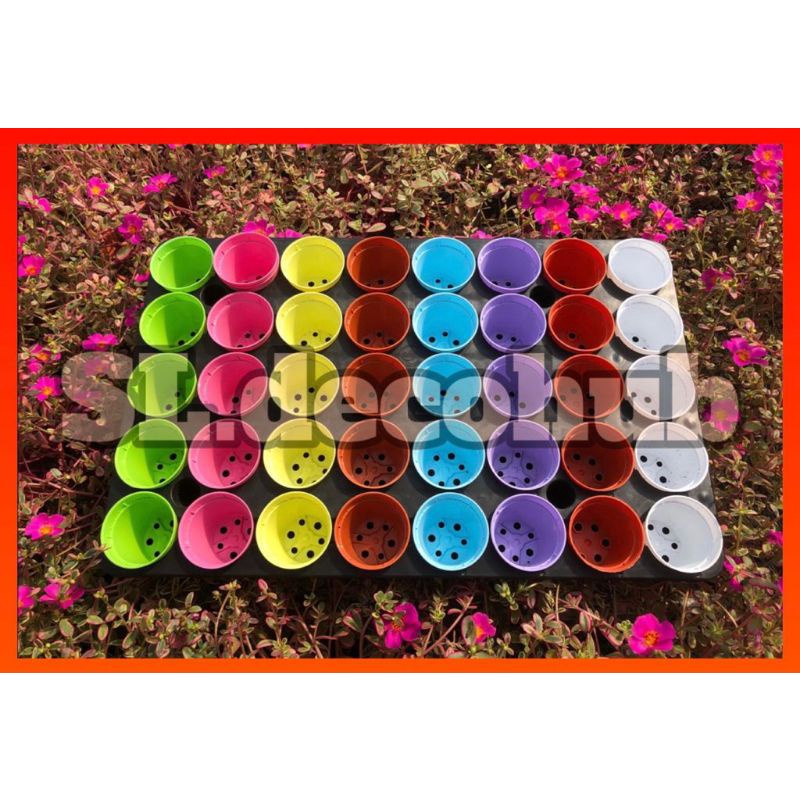 SEEDLING TRAY 40HOLES(ใหม่) + 40 NOS COLOURS BABA SEEDLING POT 55 (USED/LIKE NEW) ชุดทําสวน