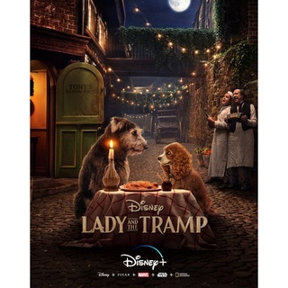 DVD Lady and the Tramp ทรามวัยกับไอ้ตูบ : 2019 #หนังฝรั่ง #ดิสนีย์ - ผจญภัย คอมเมดี้