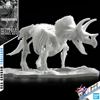 BANDAI LIMEX SKELETON TRICERATOPS โมเดล ไดโนเสาร์ VCA GUNDAM