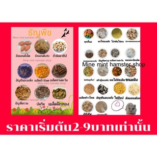 (MMPetShop)ขนมหนูแฮมสเตอร์ ของว่าง อาหารเสริมเพิ่มโปรตีนชูก้า กระรอก เม่นแคระหรือสัตว์ฟันแทะขนาดเล็ก