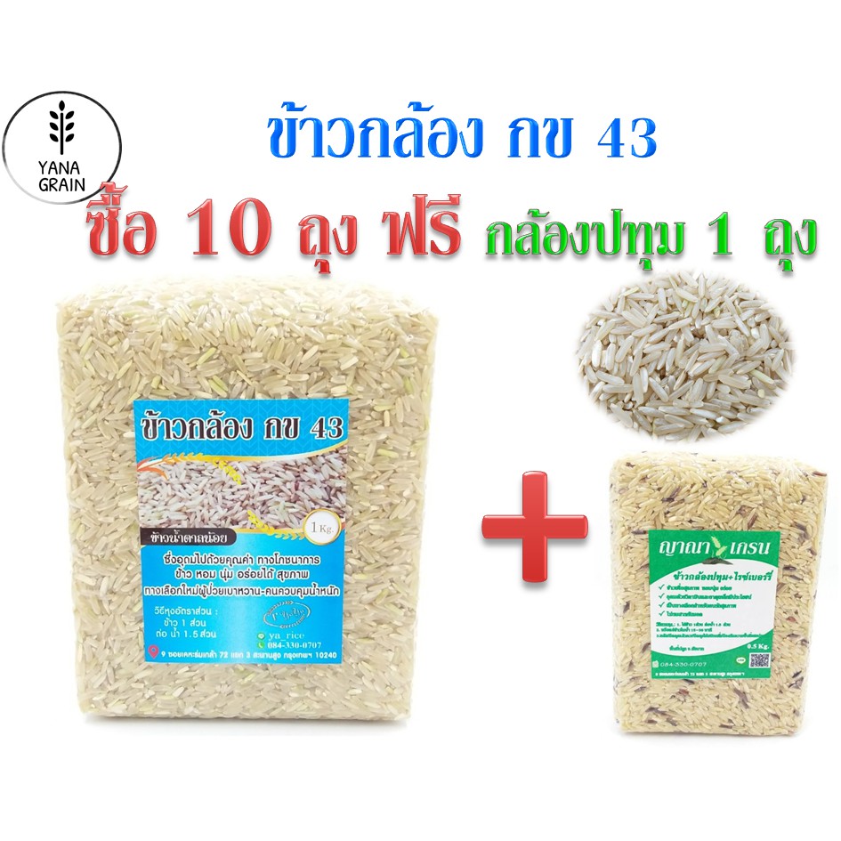 ข้าวกล้อง กข 43 น้ำตาลน้อย ซื้อ 10 ฟรีกล้องปทุม 1 กิโล
