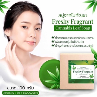 🍀สบู่ใบกัญชา Cannabis Leaf Soap🍀ขนาด 100gใช้ได้ทั้งผิวหน้าและกาย+ควรใช้คู่กับเซรั่มมาร์กหน้ากัญชาลดสิวลดฝ้าหน้าใส