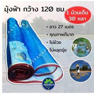 120 ซม X 30 หลา(27 เมตร)ตาข่ายฟ้า อย่างดี เหนียวและทนทาน ตาข่ายเขียว ผ้าแยงเขียว มุ้งตาข่าย มุ้งไนล่อน มุ้งฟ้า