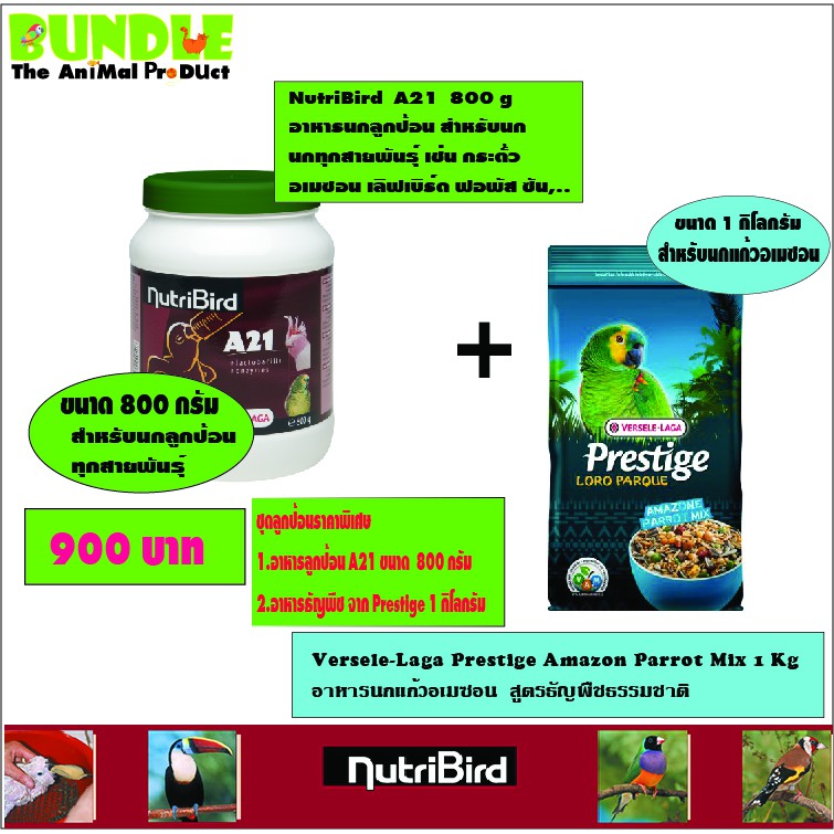 ชุด A21 800 กรัม และธัญพืช Prestige AMAZON PARROT ขนาด1 กิโลกรัม
