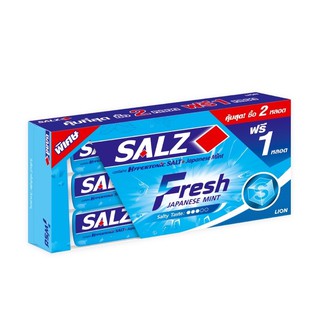 Salz Fresh Mint ยาสีฟัน สูตรเกลือสมุนไพร 160 กรัม (2Free1)