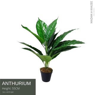 Anthurium ต้นเดหลี 55 CM ต้นไม้ปลอมเกรดพรีเมี่ยม มาดามขจี ตกแต่งบ้าน  Premium Artificial Plant