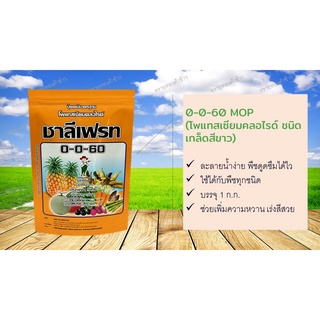 ปุ๋ยเกร็ด 0-0-60 MOP (โพแทสเซียมคลอไรด์ ชนิดเกล็ดสีขาว)