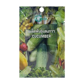 [พร้อมส่ง] HomeDoDee เมล็ดพันธุ์แตงกวา กรีน การ์เด้น เมล็ด เมล็ดพันธุ์ เมล็ดพันธุ์พืช