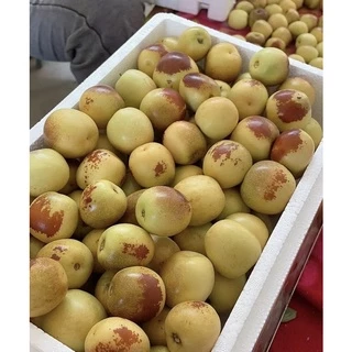 พร้อมส่ง‼️ พุทราช็อกโกแลตสด พุทราจีน ยกลัง2.6kg-3kgรวมโฟม