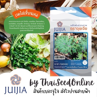 JJ เมล็ดพันธุ์ จุยเจีย เรดรัสเซี่ยนเคล ซาช่า คะน้า Kale