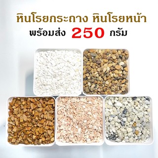 250 กรัม หินโรยหน้า หิน หินโรยกระถาง หินแคคตัส หินโรย หินตู้ปลา หินตู้ไม้น้ำ