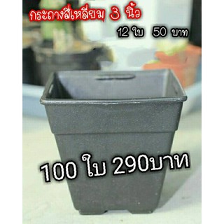 ถูกที่สุด!! กระถางสี่เหลี่ยม 3 นิ้ว 100 ใบ 290 บาทจ้า