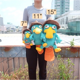 ตุ๊กตา Perry the platypus ตุ่น แพรี่