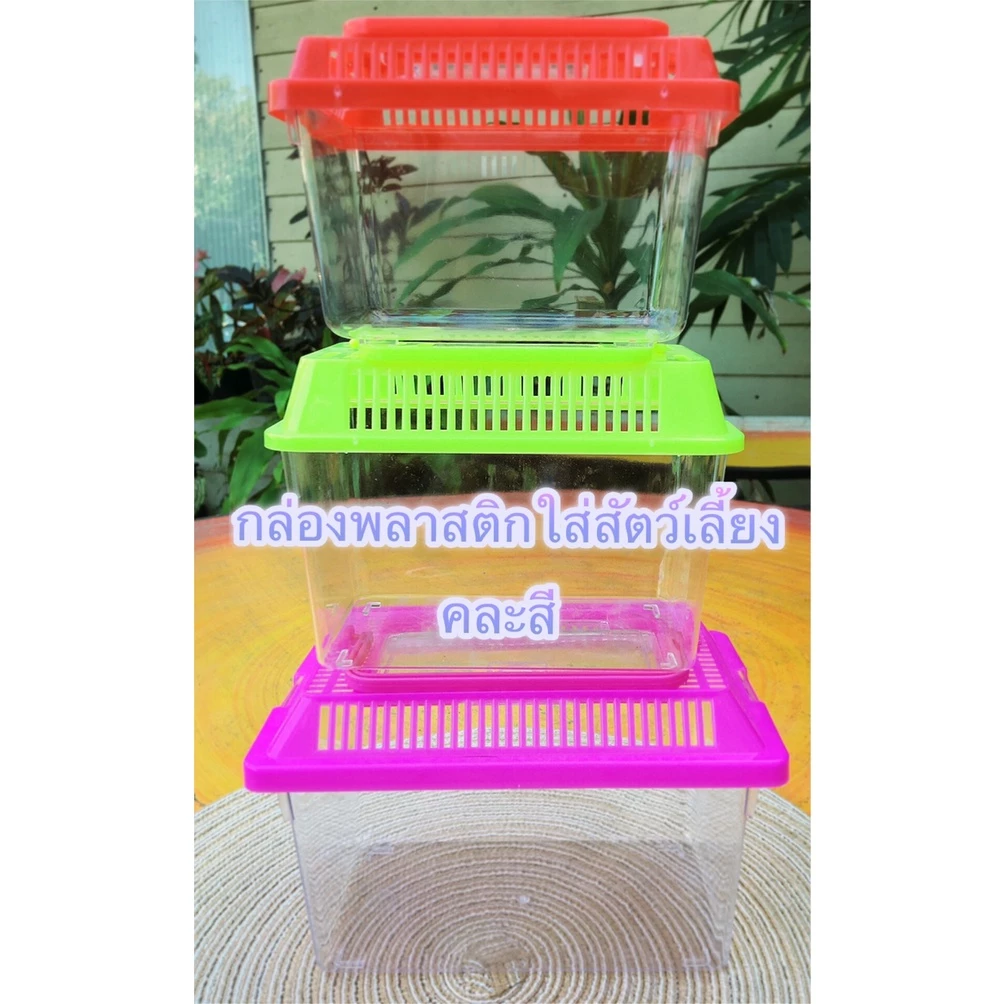 กล่องพลาสติกใสใส่สัตว์เลี้ยง 💚 เคลื่อนย้าย/พกพาขนาดเล็ก/กล่องพร้อมฝา