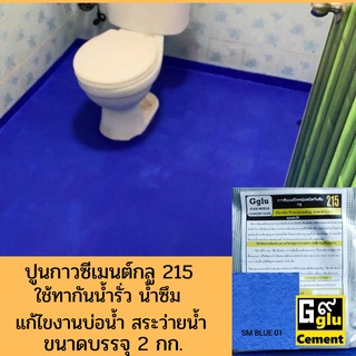 กลู (Gglu) 215สีน้ำเงินSM-Blue-01  สำหรับกันซึมพื้นหรือผนังกันซึมผงผสมเคมีกันซึมที่เข็มข้น ขนาดบรรจุ 2 กิโลกรัม