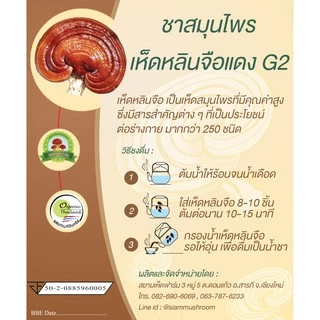 เห็ดหลินจือแดง G2 ออร์แกนิค อบแห้ง 35 กรัม ส่งตรงจากฟาร์ม (Lingzhi Red Mushroom Organic (Flower) 35G