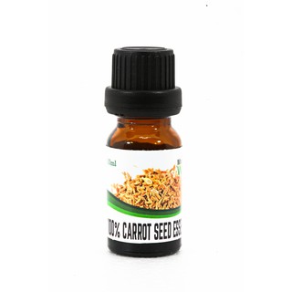 Carrot Seed Essential Oil | น้ำมันหอมระเหย เมล็ดแครอท 10ml