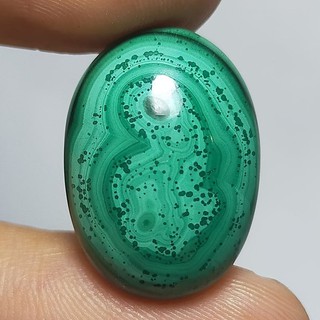 พลอย หลังเบี้ย มาลาไคต์ มาลาไคท์ ธรรมชาติ แท้ ( Natural Malachite ) 27.09 กะรัต