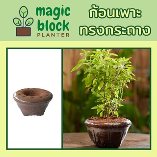 Magicblock กถ.- 3 ก้อนเพาะมหัศจรรย์ทรงกระถาง ขนาด กว้าง 18.5 x สูง 11 ซม