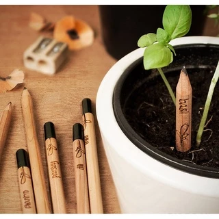 ดินสอรักษ์โลก ปลูกได้ เลือกเมล็ดได้ plantable pencils