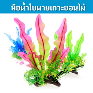 ของแต่งตู้ปลา - ต้นใบพายสีสดเกาะขอนไม้