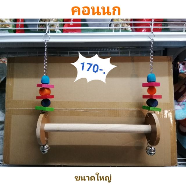 ของเล่นนก​ กระรอก​ ชูการ์